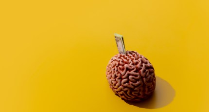Image of money sticking out of a brain against a yellow background.
