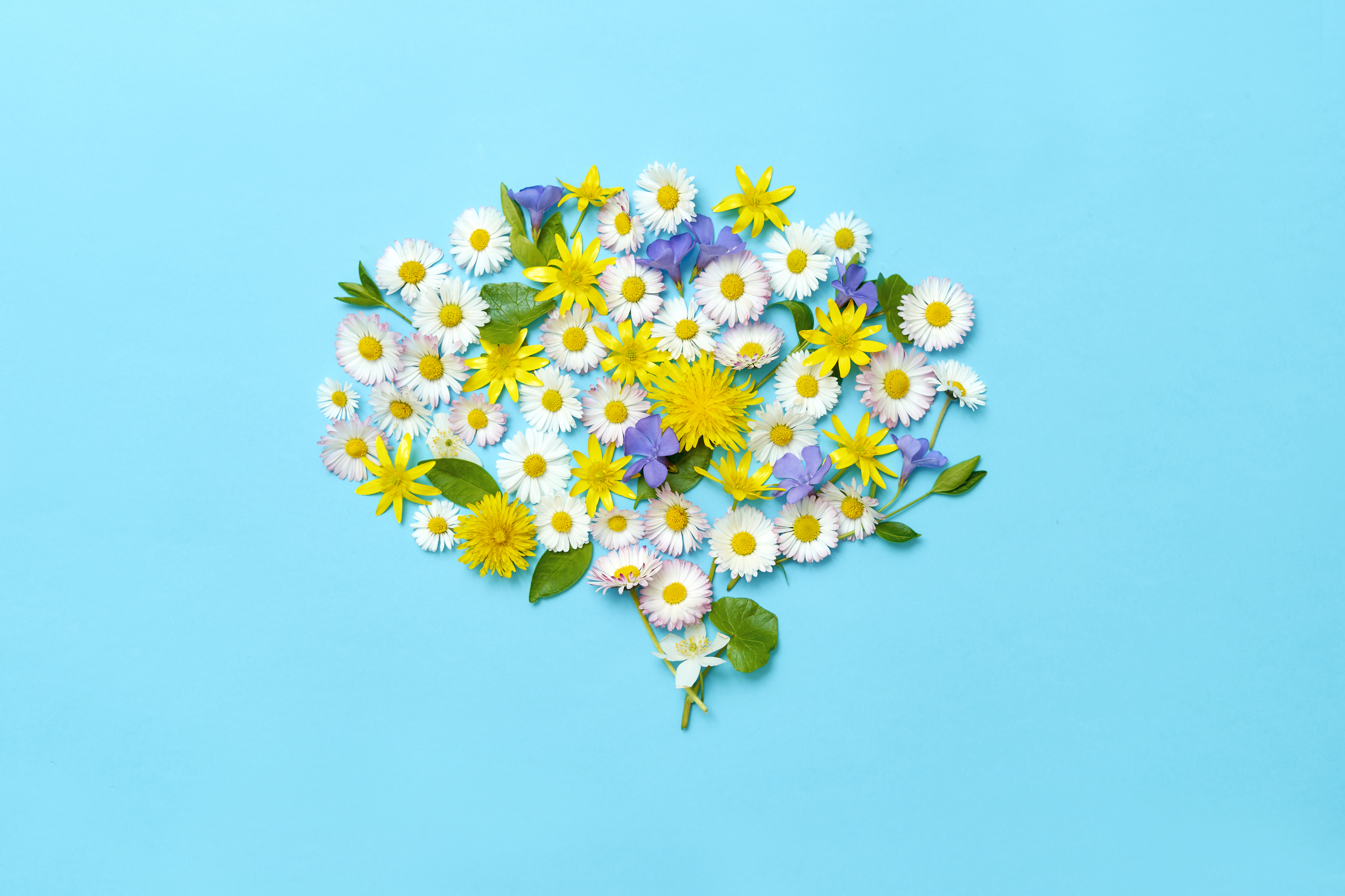 Image of flowers forming the shape of a brain to represent mental health and wellness.