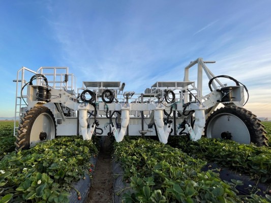 With $8.4M raised, strawberry-picking robotics startup Traptic begins commercial deployment