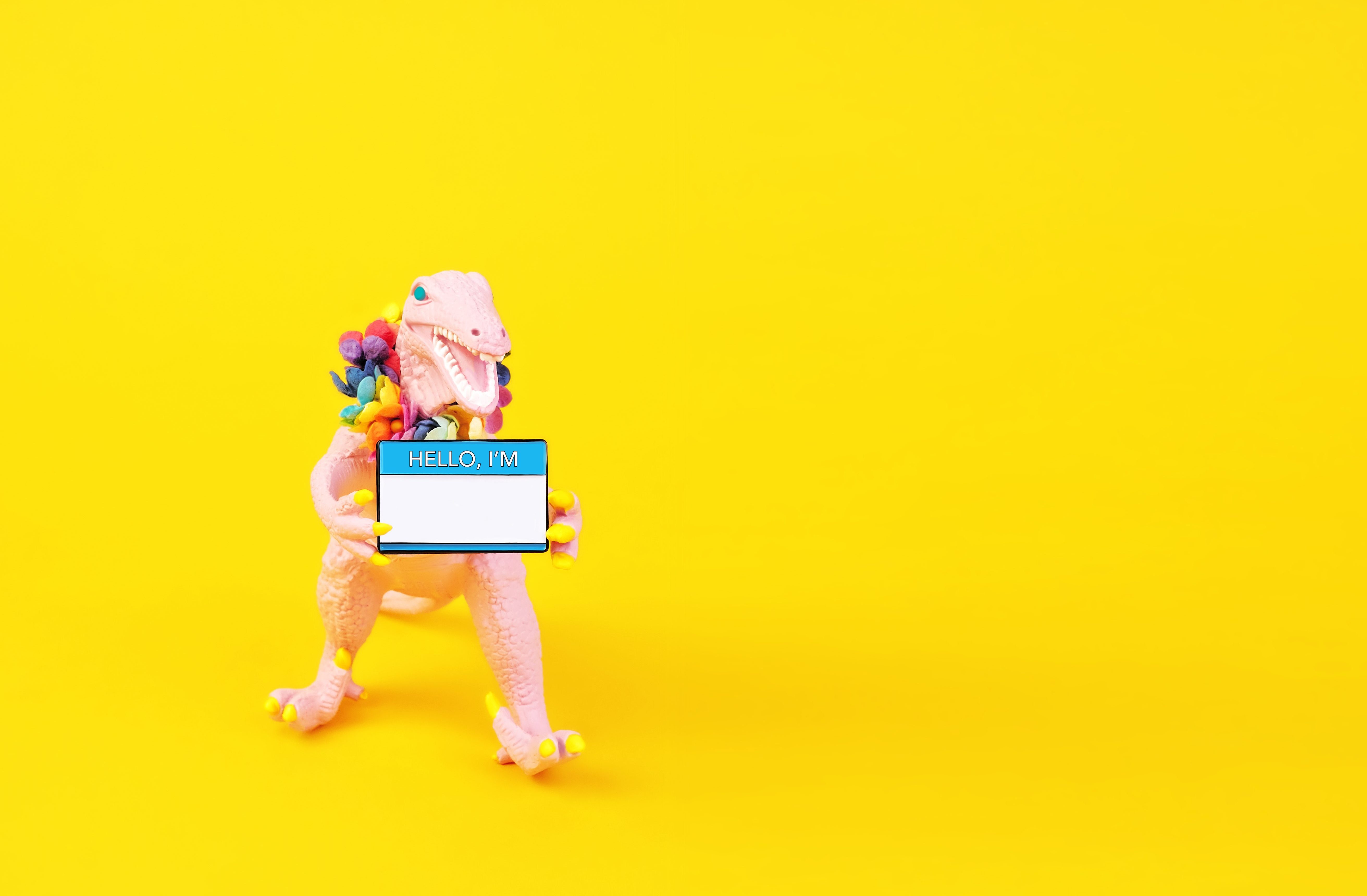 Image of a pink toy dinosaur holding a name tag on a yellow background.