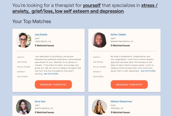 With $3M seed, Frame streamlines finding a therapist and builds a one-stop shop ..