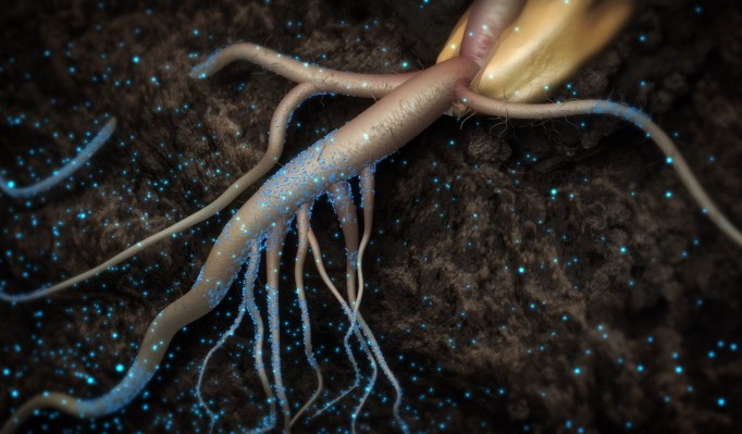 Pivot Bio rakes in $430M round D as modified microbes prove their worth in agriculture – TechCrunch