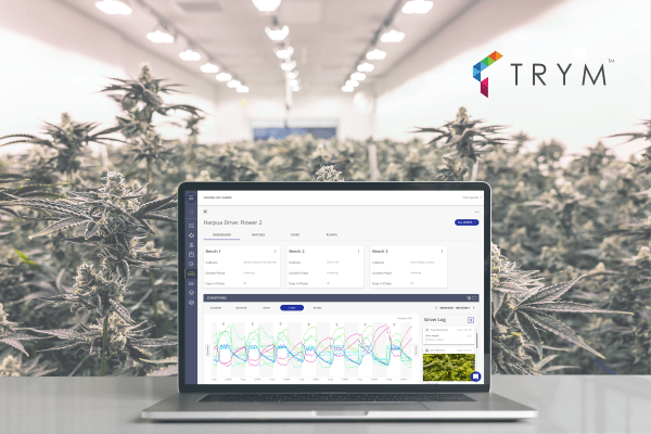 Trym adds crop steering to its cannabis seed-to-sale platform – TechCrunch