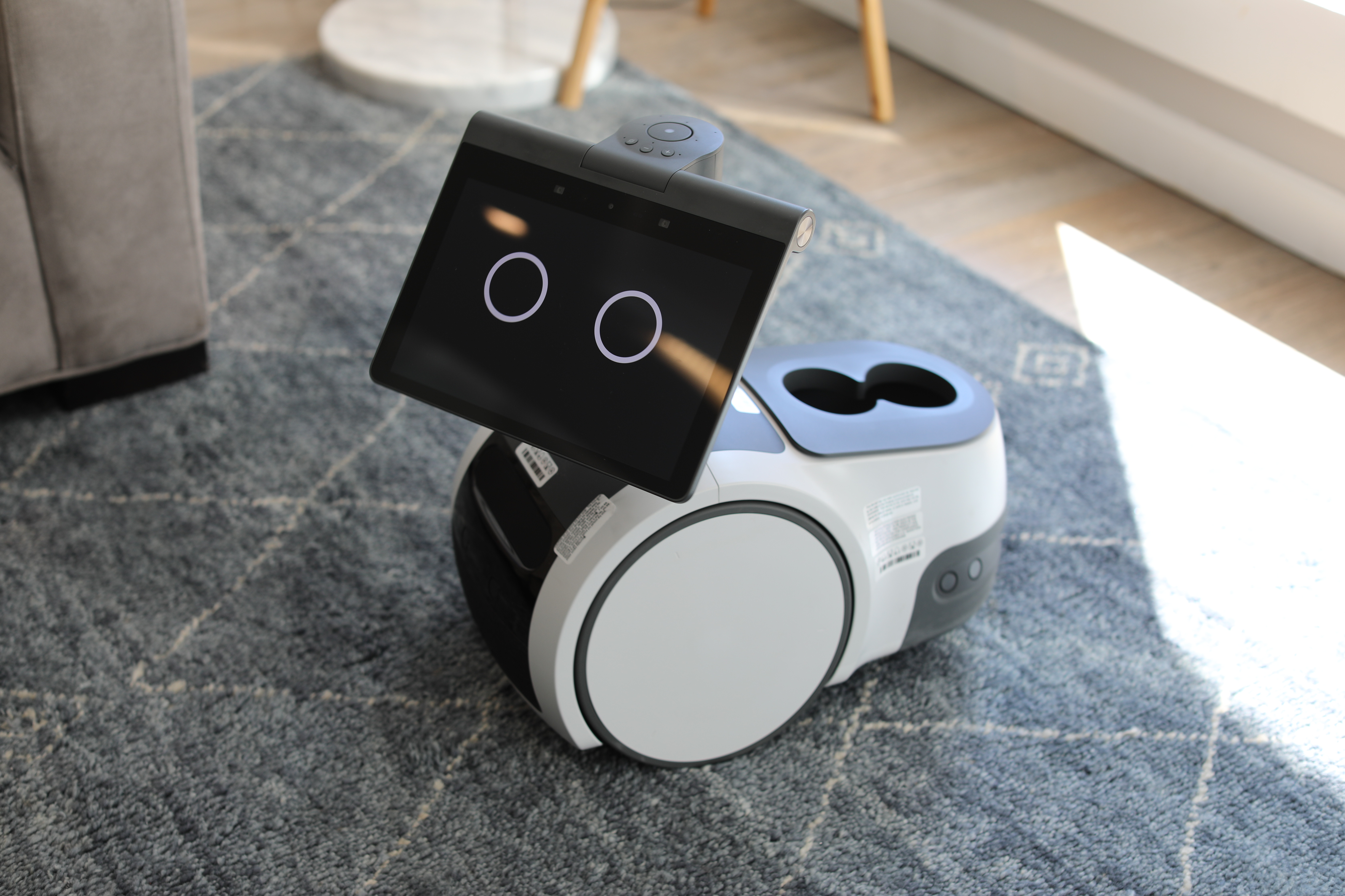 Socialisme Permanent klimaks Why Amazon built a home robot | TechCrunch