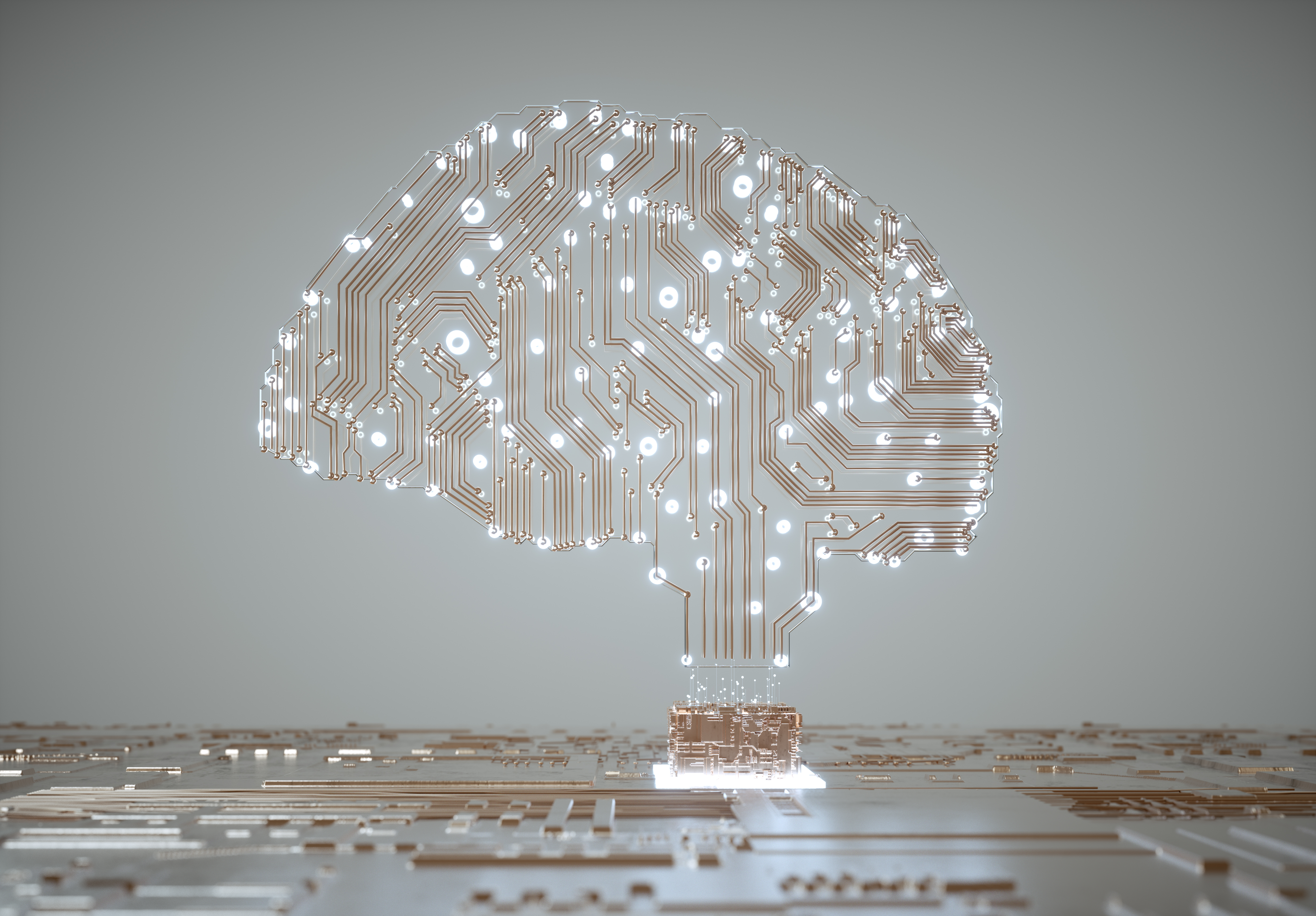 Networked Digital Human Brain