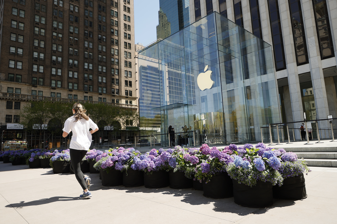 نیویورک ، نیویورک - 01 مه: یک دونده دونده از خیابان پنجم ، روز مادر شکوفه می کند ، جلوی فروشگاه The Apple در 01 مه 2021 در شهر نیویورک.  (عکس مایکل لوکیسانو/گتی ایماژ برای نصب روز مادر در خیابان پنجم شکوفا می شود)