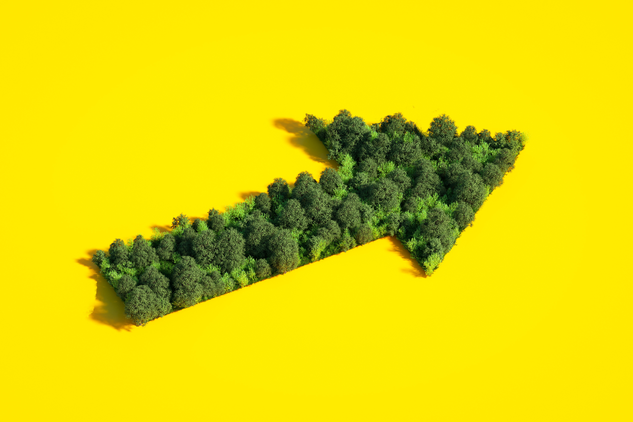 Arrow shaped forest on yellow background.