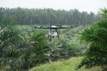 One of Malaysian startup Poladrone's Orycte precision spraying drones in an oil palm field