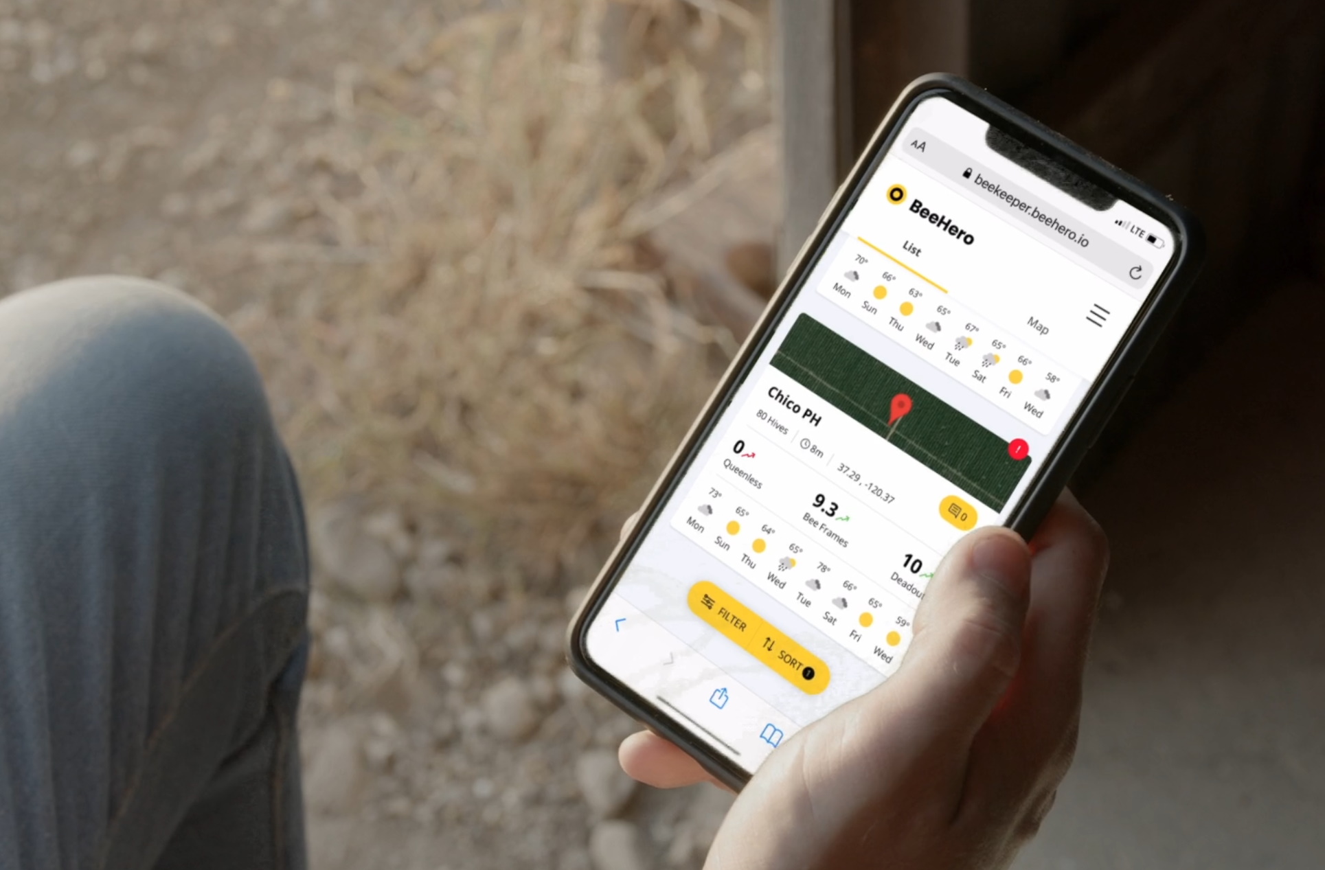 The BeeHero app on a smartphone showing hive health metrics.