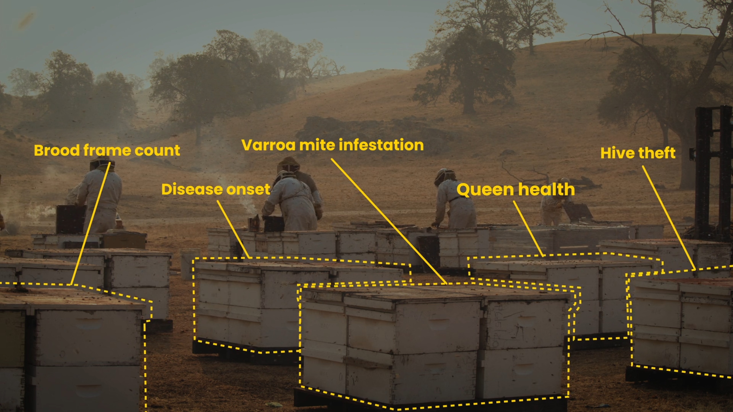 Beehives illustrated with labels describing problems they might be facing, like mites.