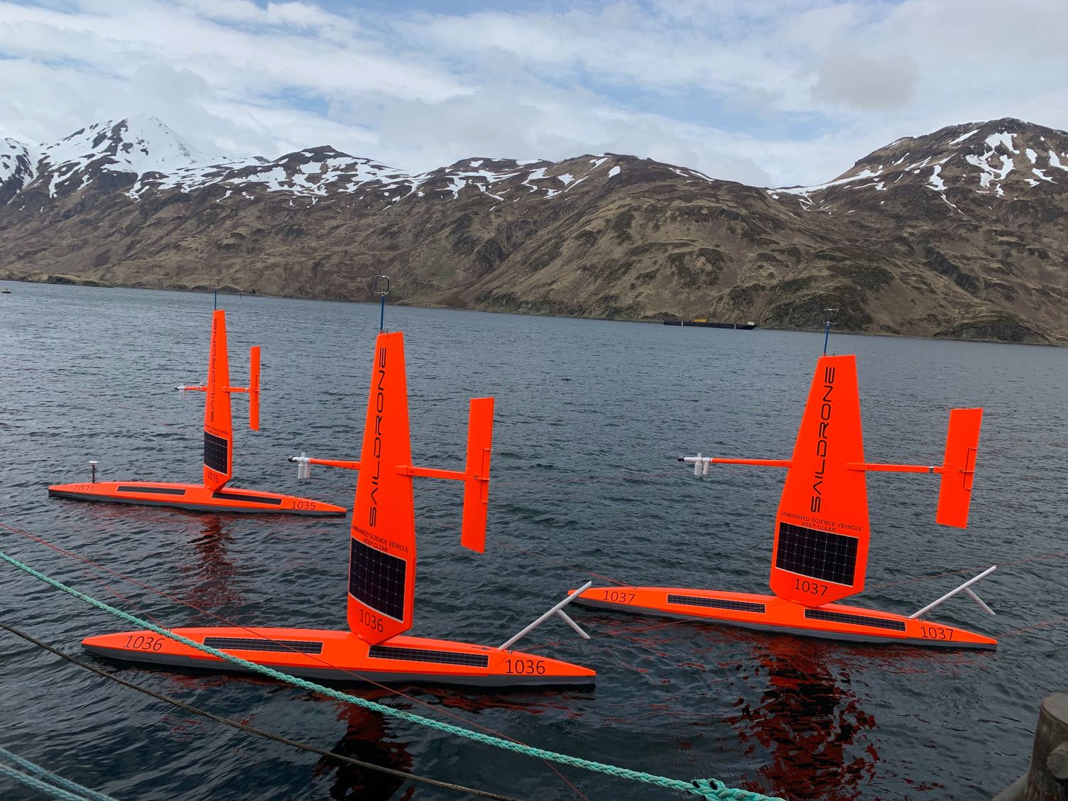 Several Saildrone vessels float in formation on the ocean.