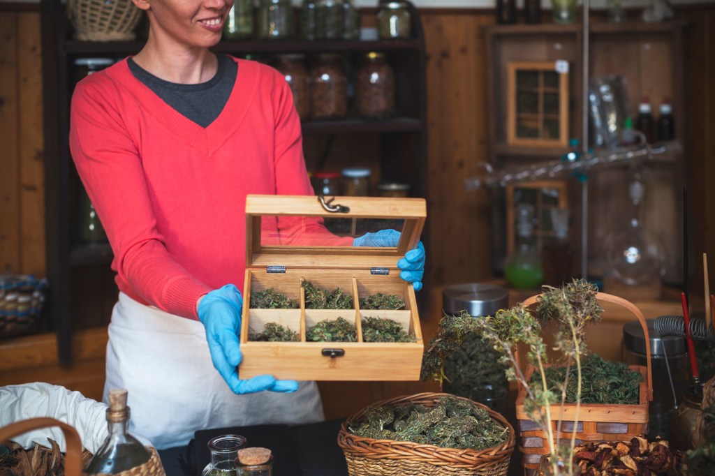 Adult Woman Holding Open Box With Different Cannabis Strains