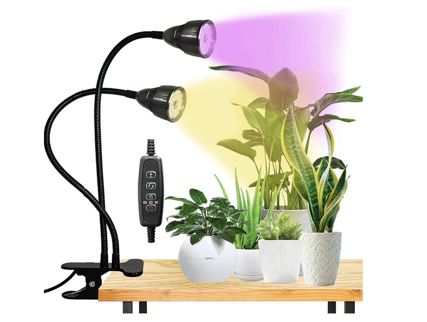 The best tech gifts for plant geeks – ProWellTech 1