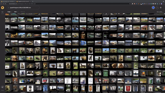 Gif of Activeloop streaming database in action showing hundreds of images.