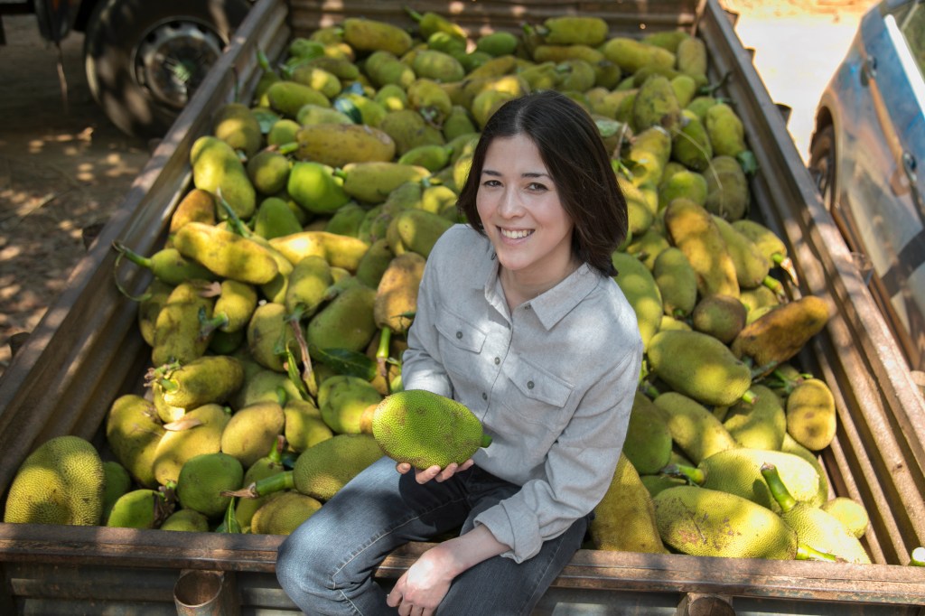jack & annie’s closes $23M; aims to make jackfruit hero among meat alternatives