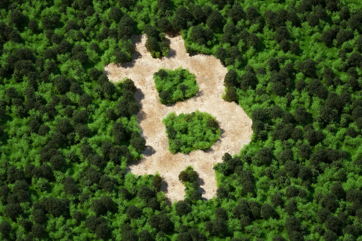 Take a look at Wolf’s first cohort of Bitcoin-driven startups
