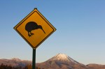Kiwi crossing sign and Ngauruhoe Volcano, Tongariro National Park, North Island, New Zealand