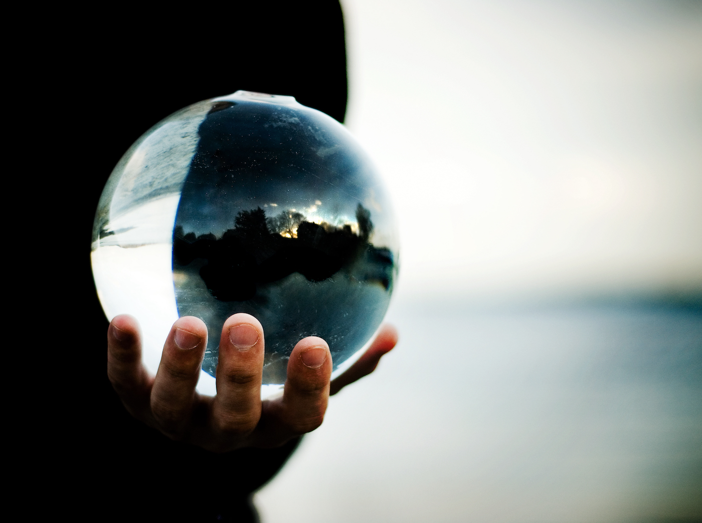 a hand holding a crystal ball