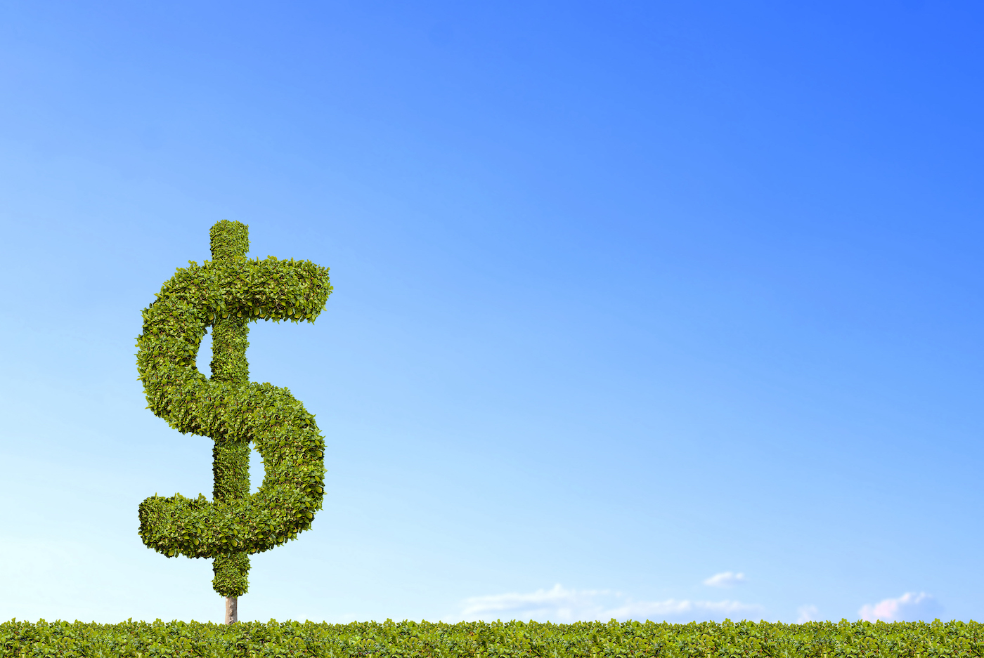 A topiary in the shape of a dollar bill symbol on a green meadow against a blue sky.