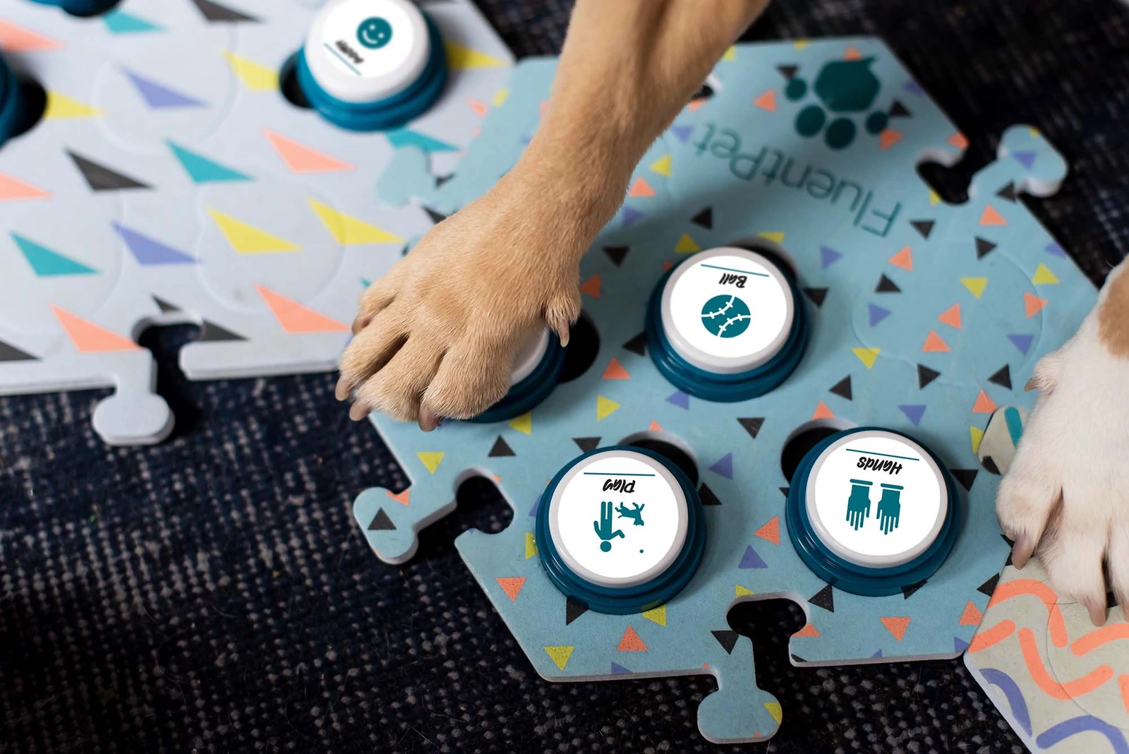 A dog's paws press buttons that emit words.