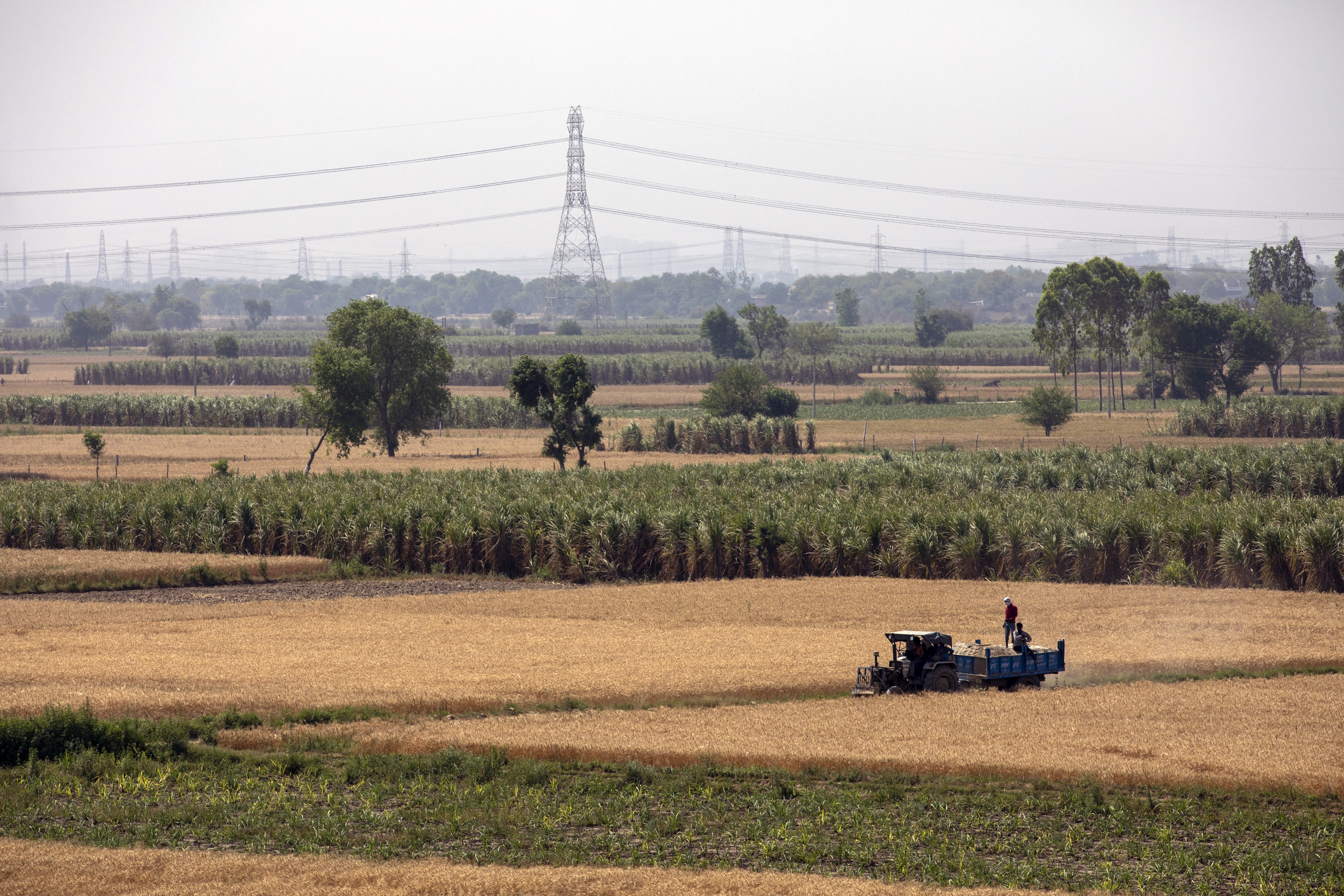 India’s Arya raises $60 million to provide farmers with finance and post-harvest services – TechCrunch