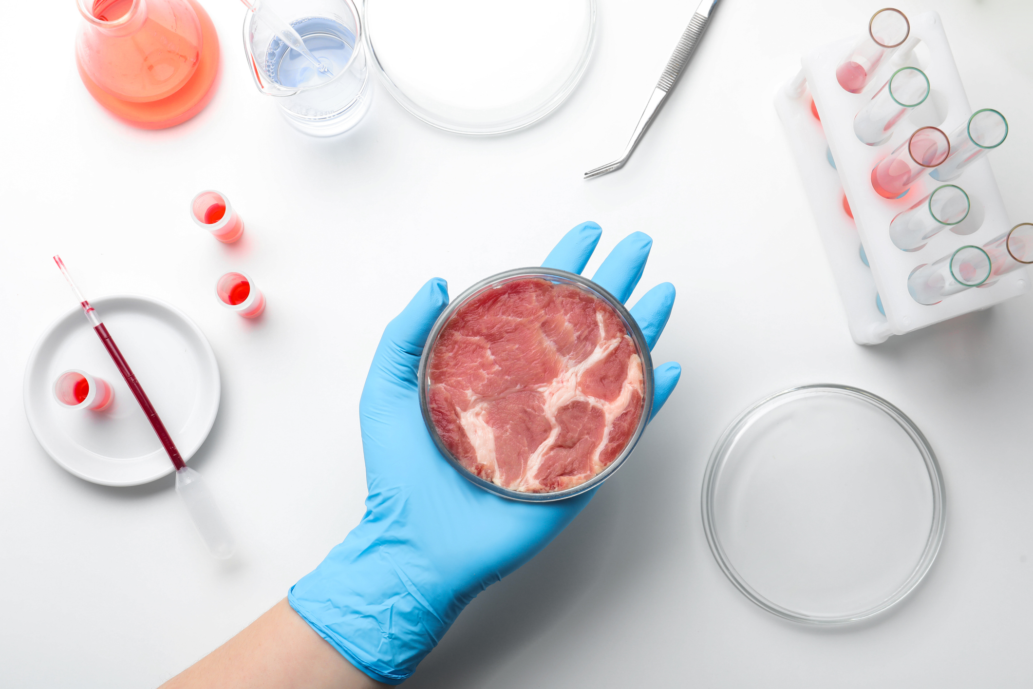 Scientist holding Petri dish with cultured meat
