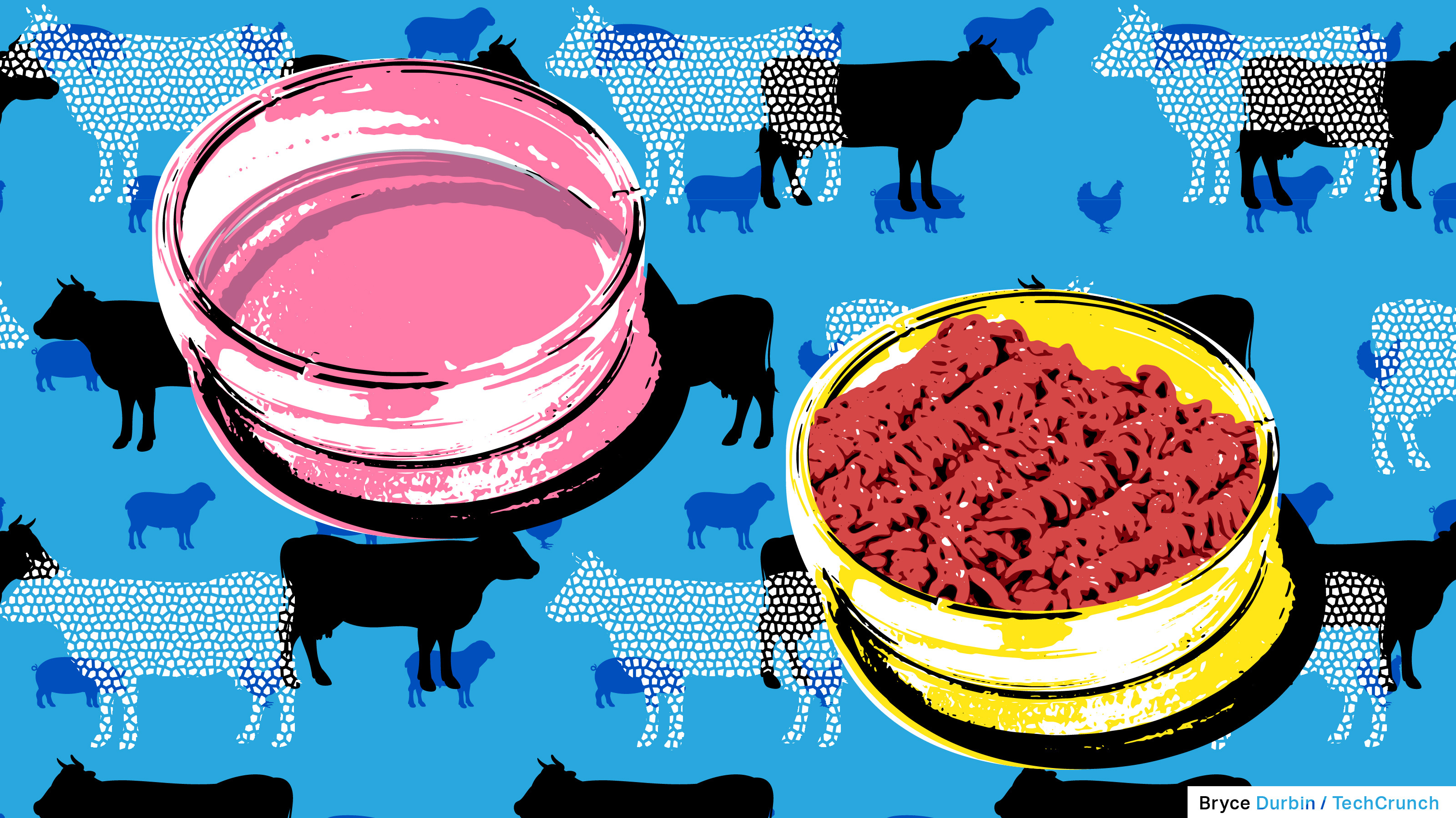 Is cell-cultured meat ready for prime time? | TechCrunch