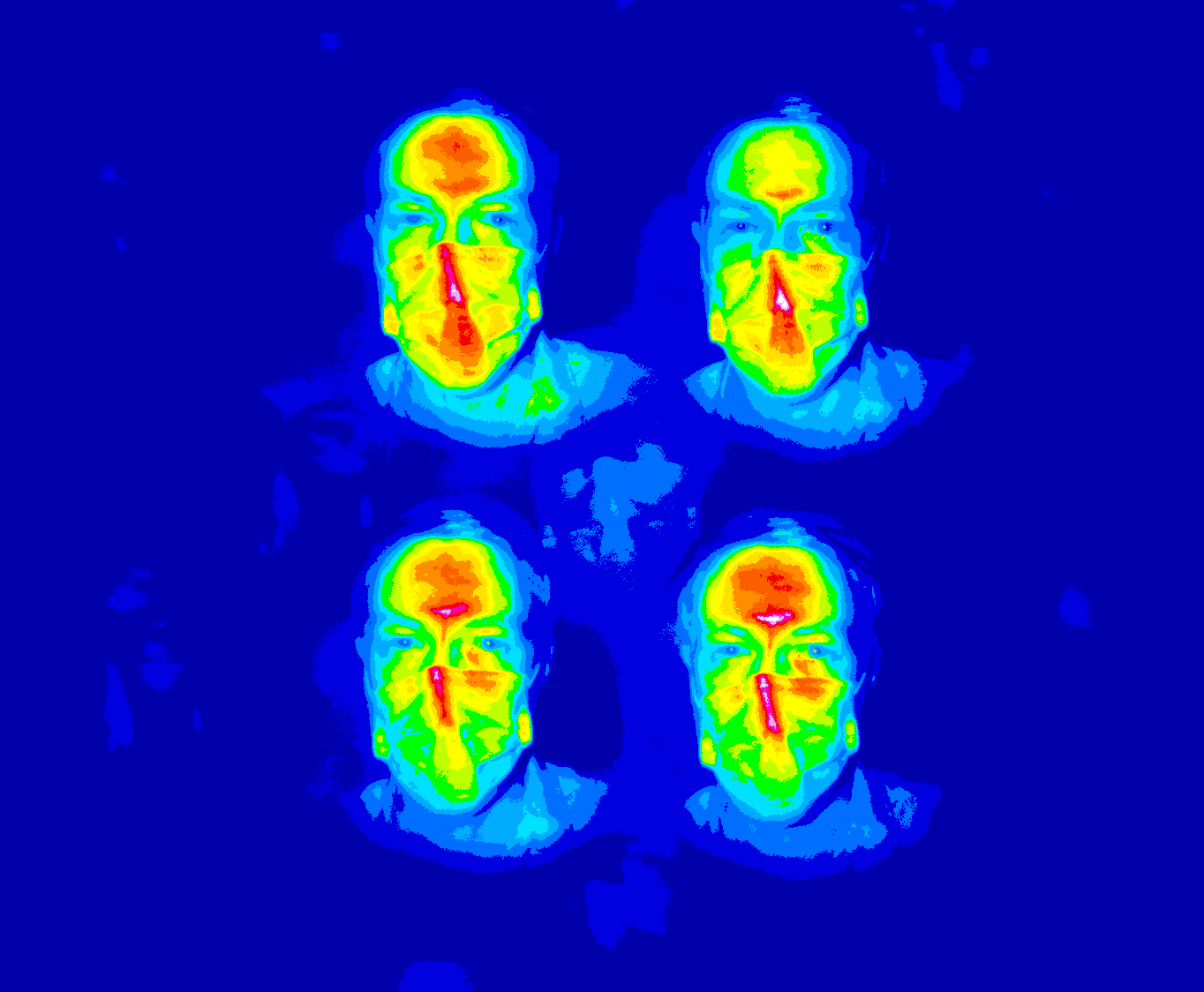 Polarized light is split into 4 streams, showing different details of a face.