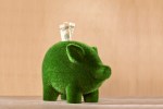 Green moss piggy bank with money in it