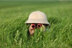 little boy in high grass searching for something using a pair of binoculars while he wears a safari helmet