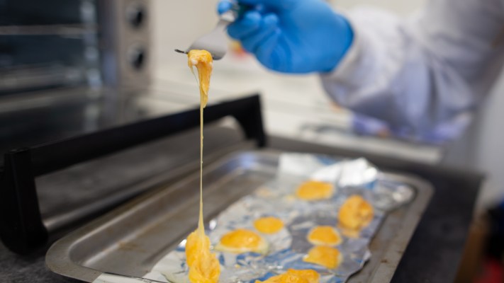 Better Dairy slices into new funding for animal-free cheeses – TechCrunch