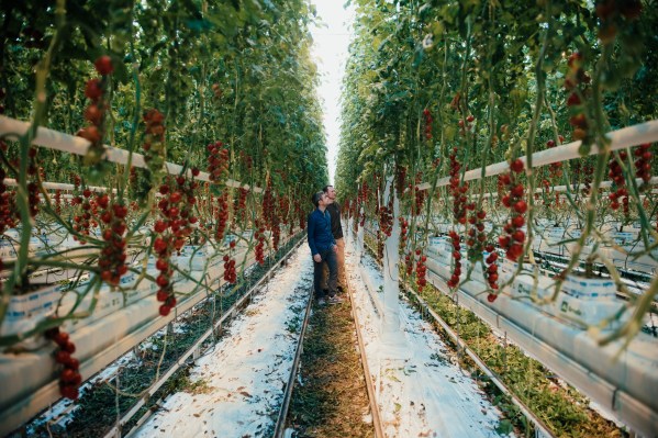 Supply makes greenhouses smarter to safe the way forward for meals provide – TechCrunch