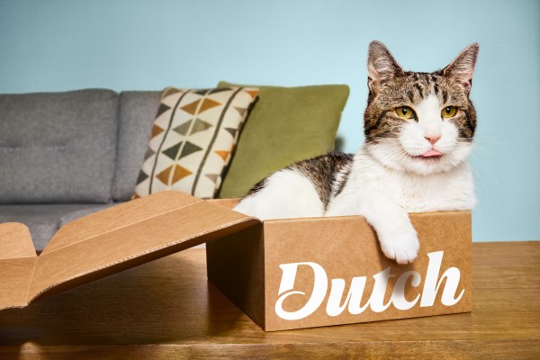 Dutch raises $20M to scale its telemedicine platform for pets – TechCrunch