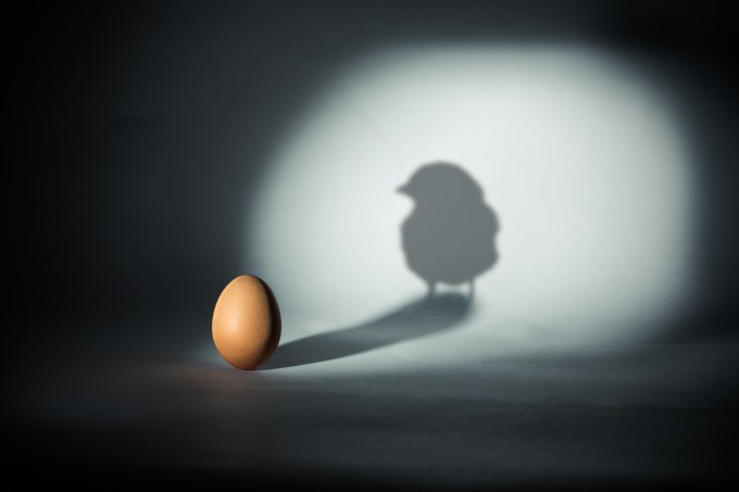 Eggflation image