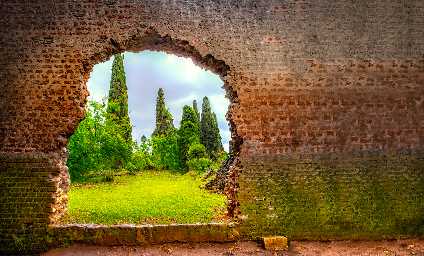A photo of a verdant garden with a glimpse of a jagged hole in a brick wall taken in Latina, Italy