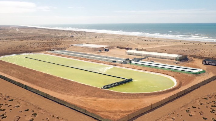Brilliant Planet is running algae farms to pull carbon out of the air