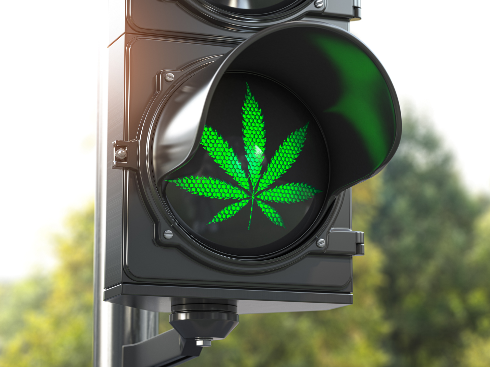 Cannabis leaves on green traffic lights