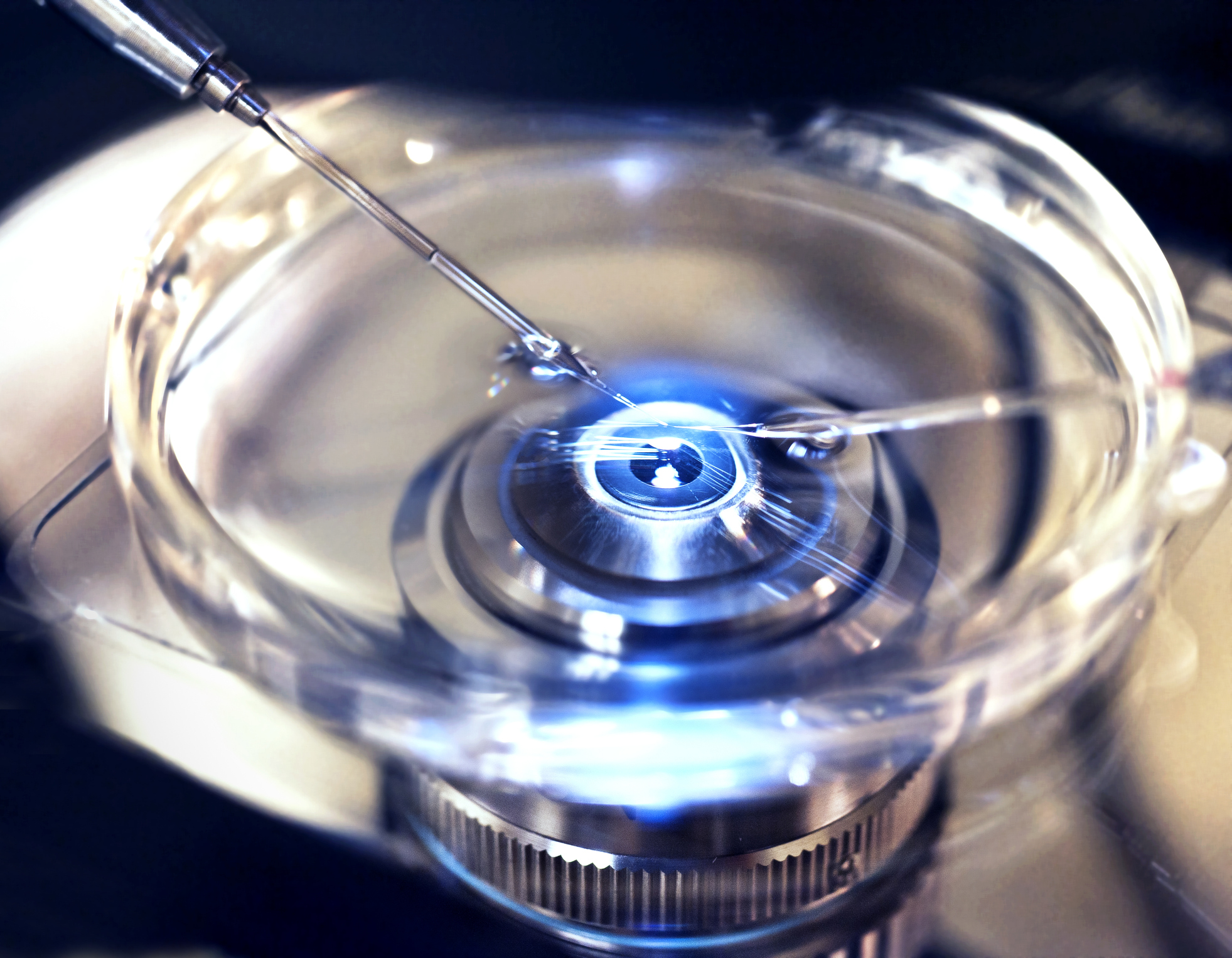 Close up of InVitro Fertilization in which donor sperm is injected into harvested egg cell to create embryo.