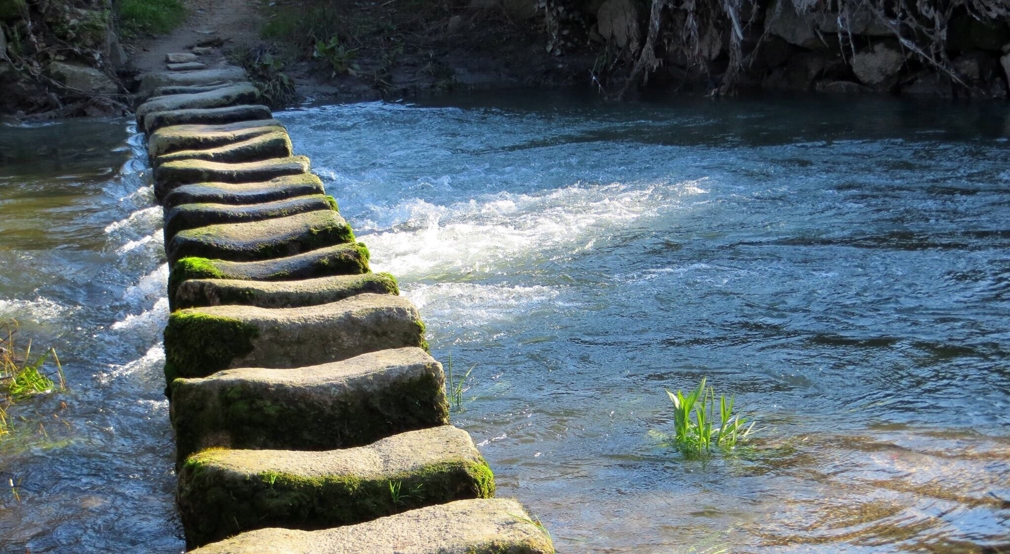 Stepping Stones bridging River