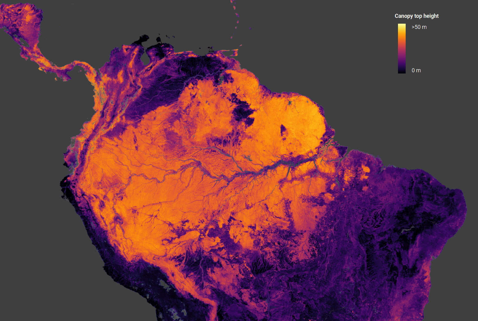 Weergave van de bovenste helft van Zuid-Amerika als een kaart van de hoogte van de luifel.
