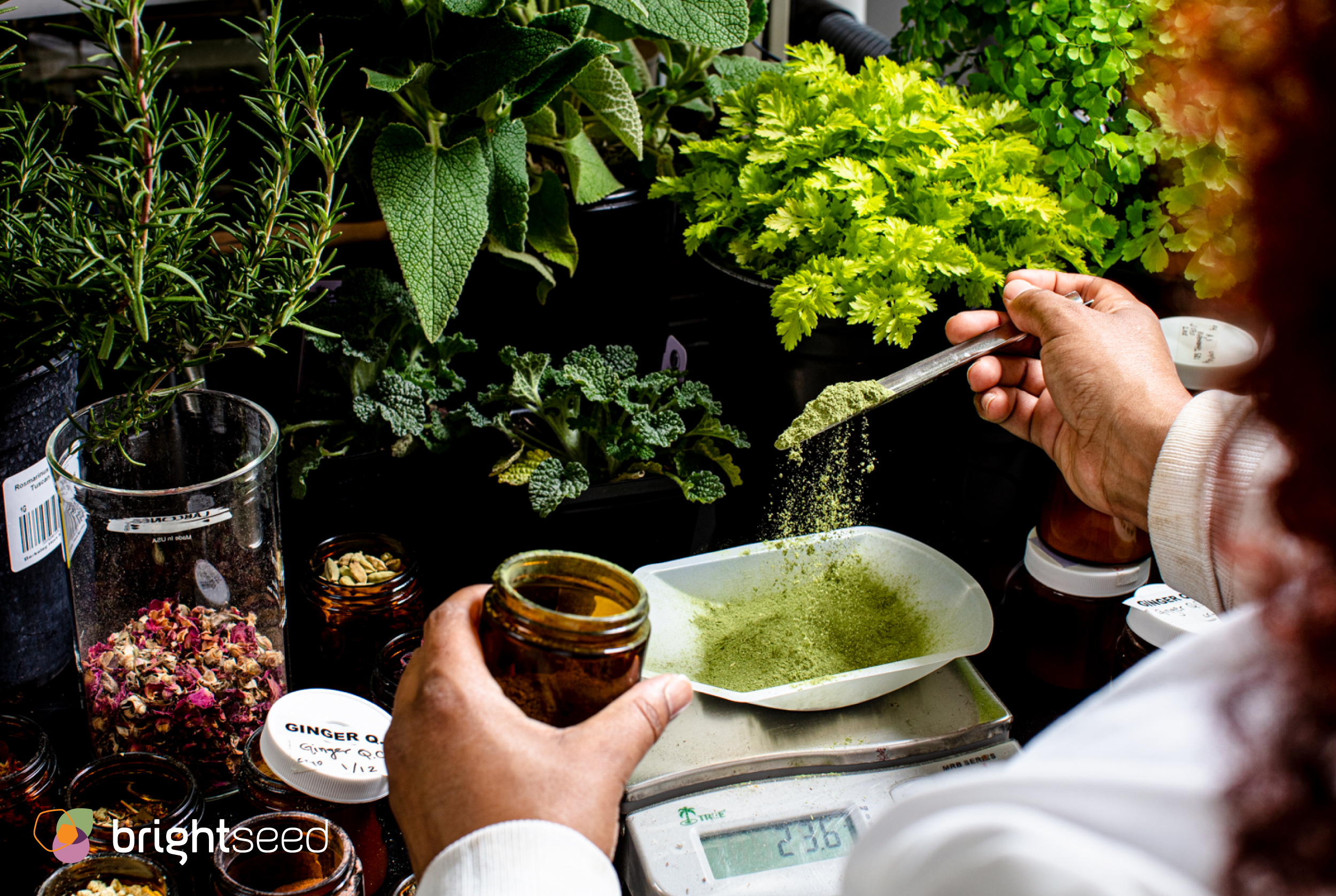 A scientist weighs out a powder in a plant-filled lab.
