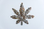 A marijuana leaf made of US American coins. Cannabis investment and market in the US.
