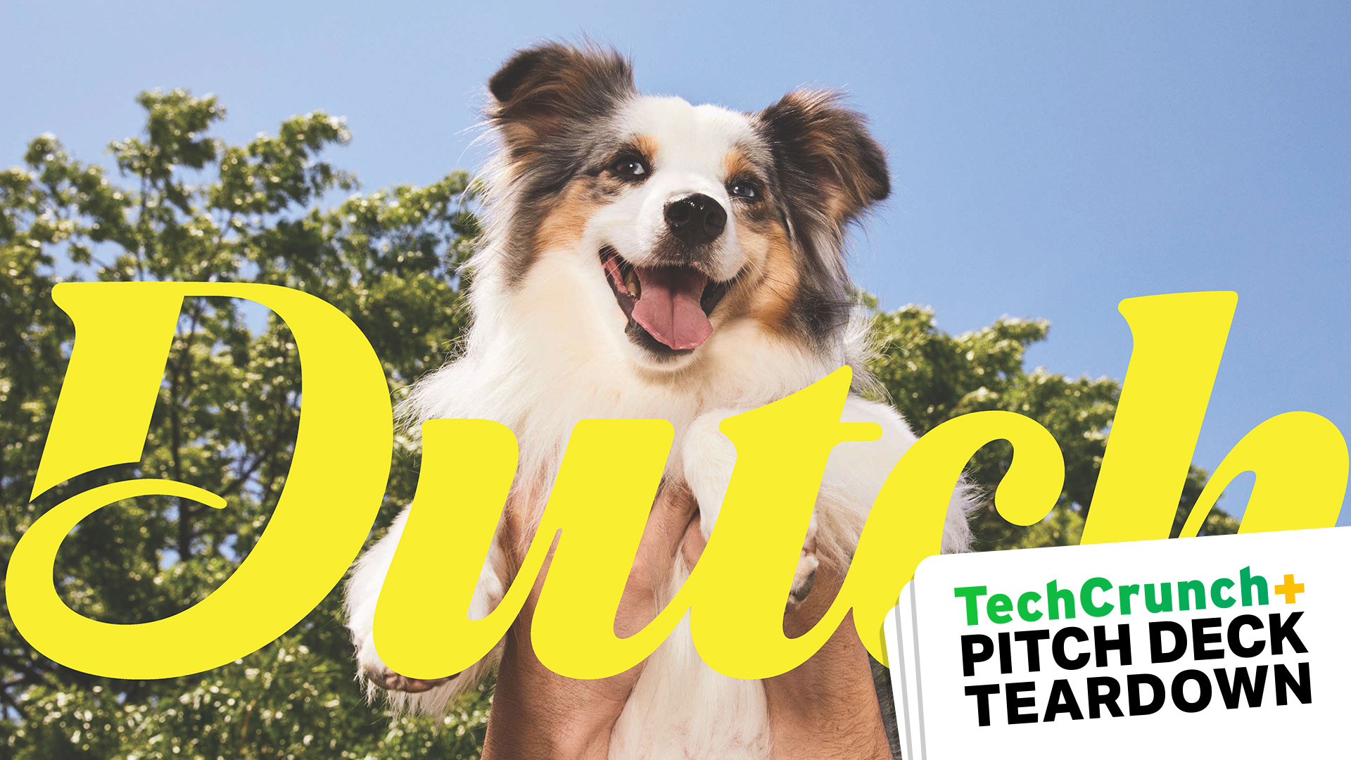 Pitch deck cover slide met een schattige hond, het woord DUTCH en TechCrunch Pitch Deck Teardown overlay