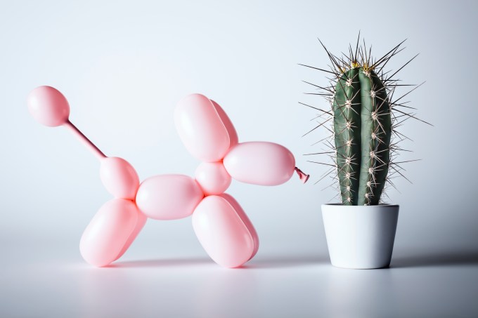 poodle made of a balloon and a cactus plant; preparing business plan for HMRC