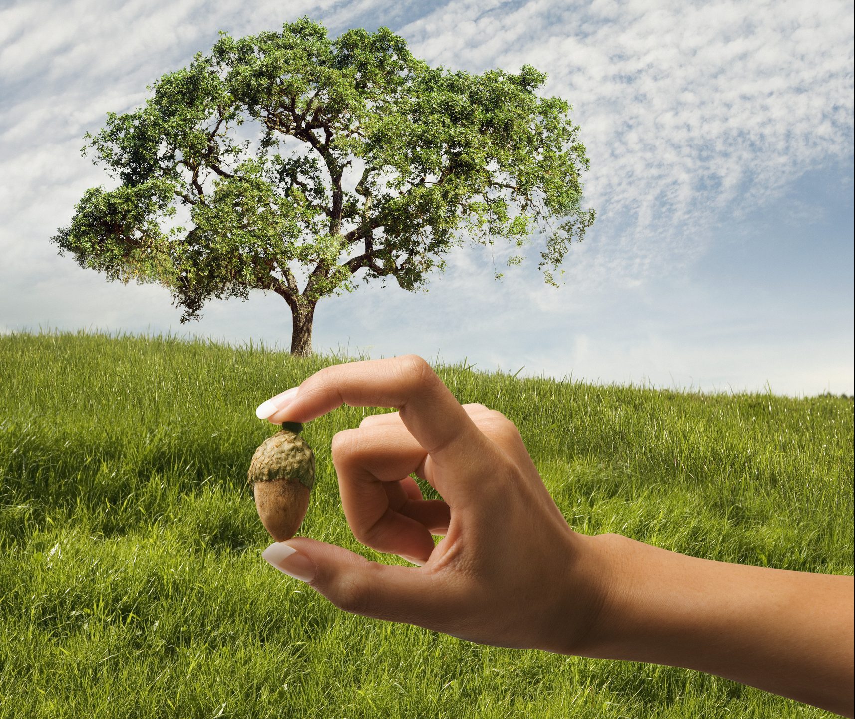 Woman holding an acorn in front of an oak tree.  principles of product-driven growth