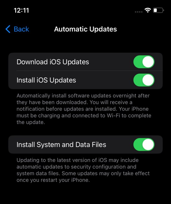 New software update toggle in iOS 16 developer beta enables automatic security updates