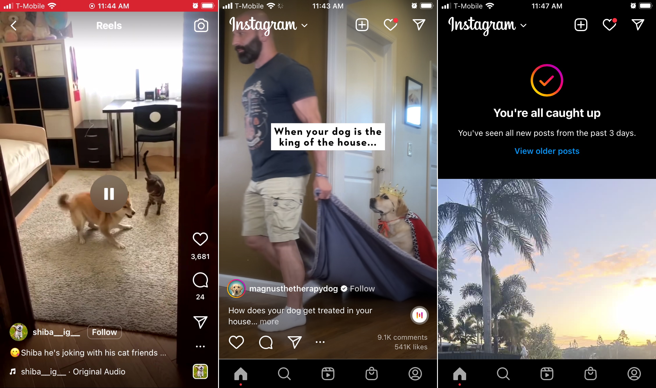 Instagram gets worse with dark patterns lifted from TikTok, example of new Instagram feed with updates