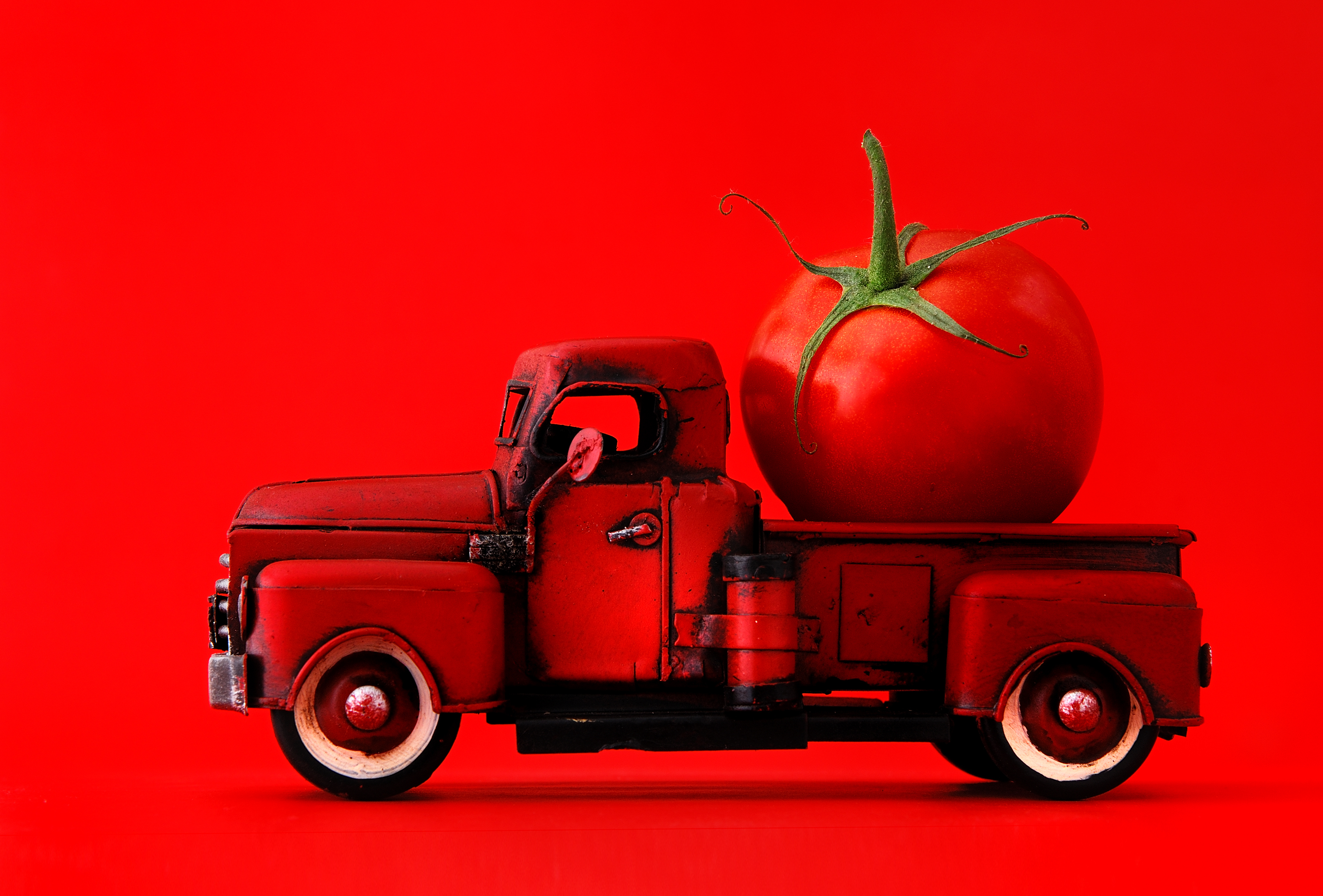 巨大トマトを運ぶピックアップトラック