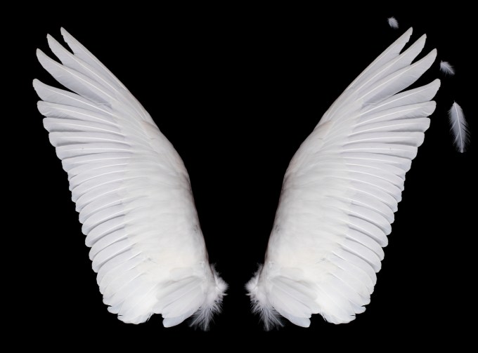 Choose your angel: Learn how they invest and what motivates them image
