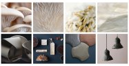 Mycel’s mushroom-based biomaterials sprout $10M in funding Image